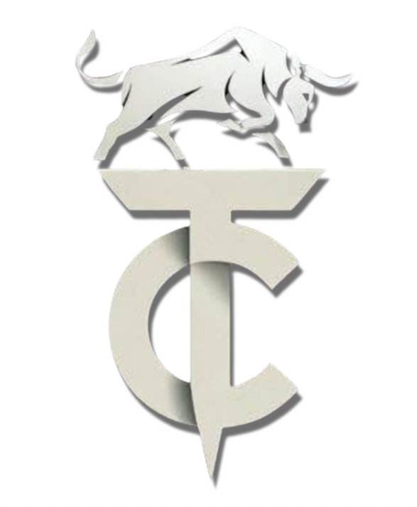CT-logo